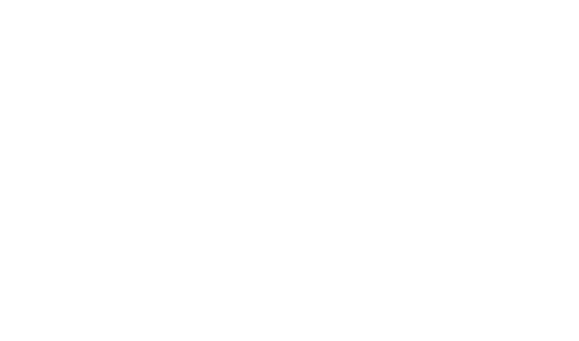 BridgePartners_Logo_Utile_White_RGB